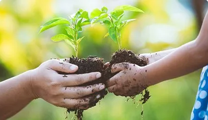 Sustainability Consulting